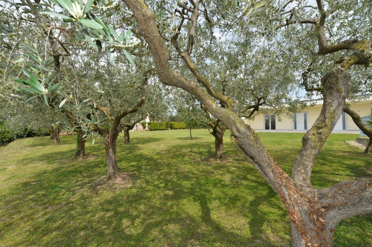 Albergo Panoramica Bardolino Eksteriør billede
